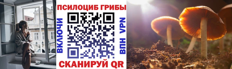 Галлюциногенные грибы GOLDEN TEACHER  MEGA сайт  Дятьково  что такое наркотик 